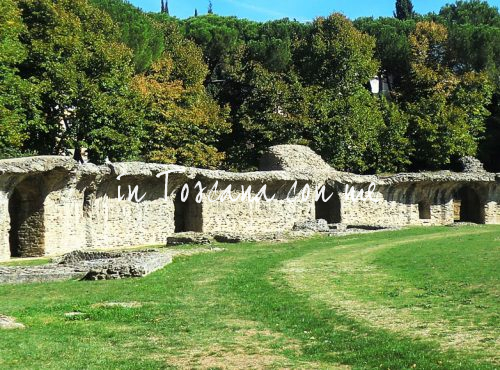 Arezzo