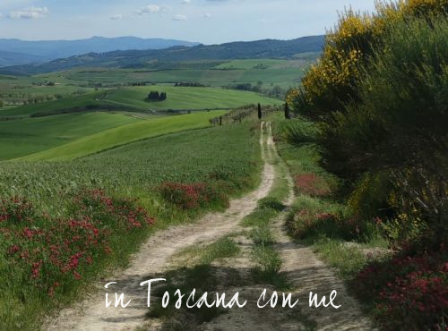 Ricominciamo dal verde delle colline Toscane