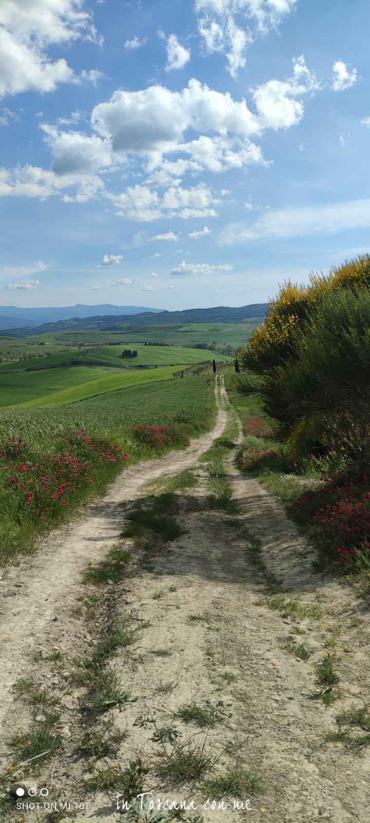 Ricominciamo dal verde delle colline Toscane